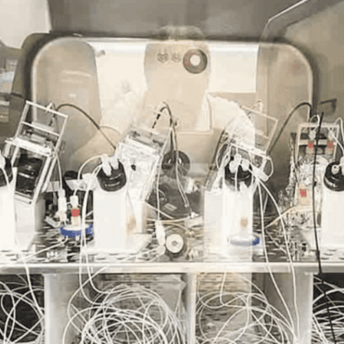 World’s First Living Computer How Brain Cells Are Powering the Future